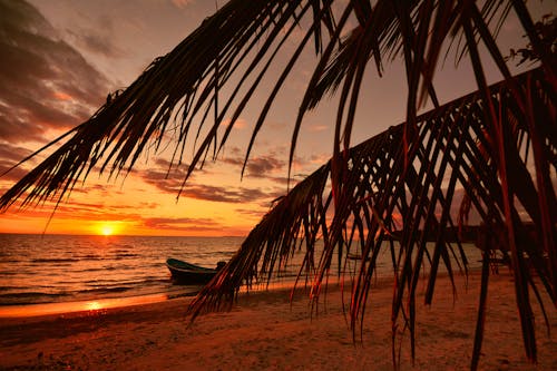 Boat on the Shore During Sunset