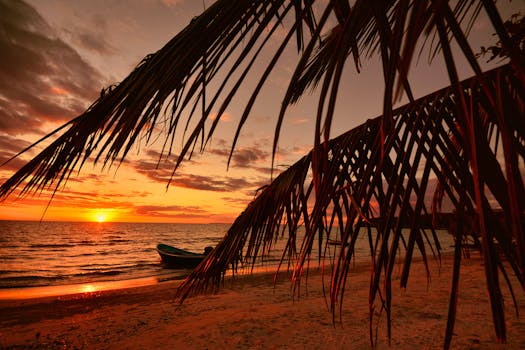 Experience the serene beauty of a tropical sunset at Koh Kong beach, Cambodia, with palm trees casting silhouettes.