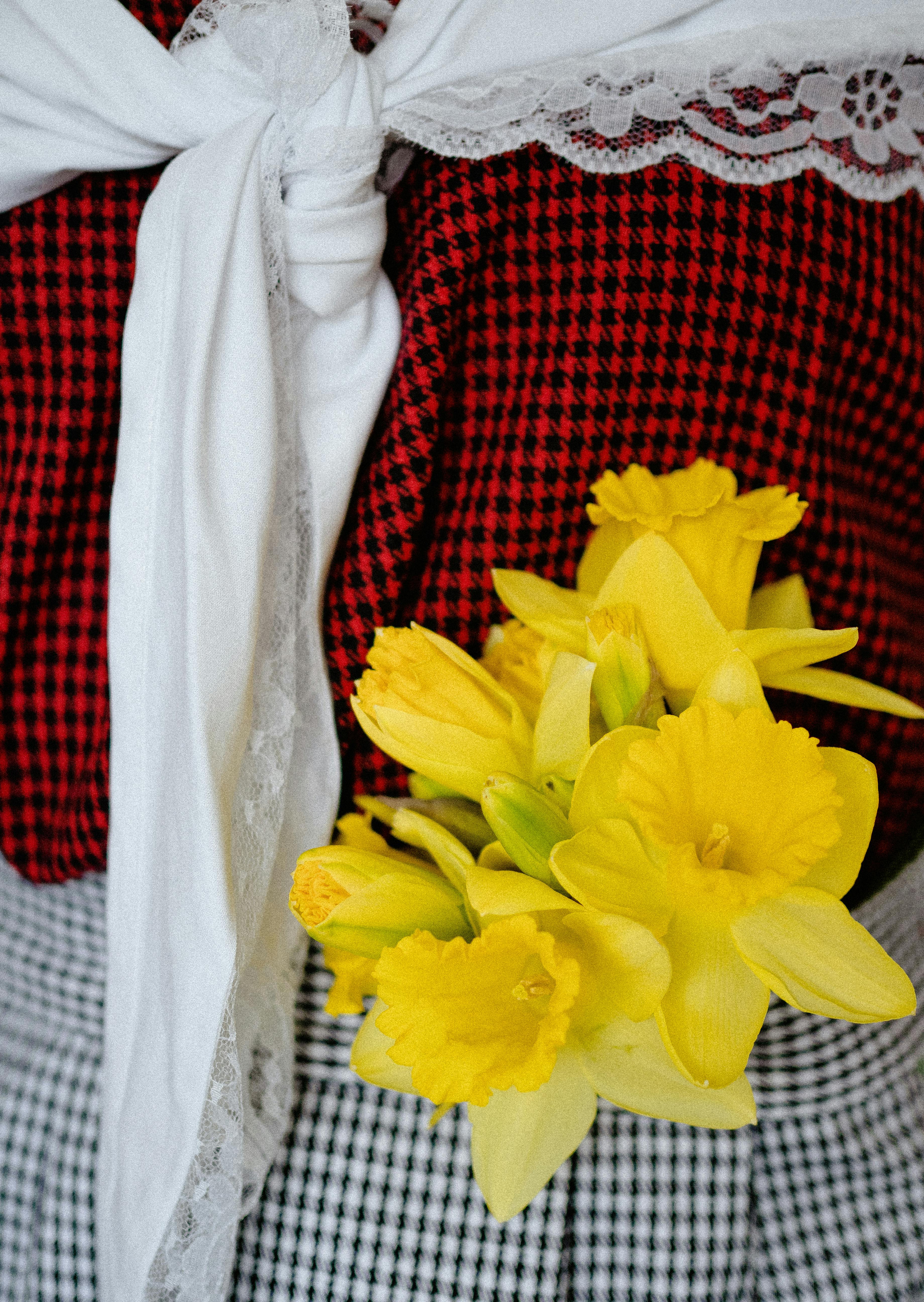 Close-up of yellow daffodils against a red and black checkered fabric with a white lace bow.
