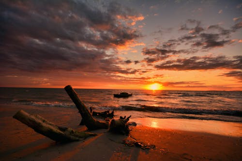 地平線, 日出, 日落 的 免費圖庫相片