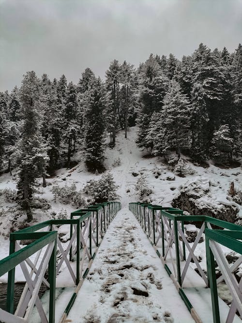 Kostenloses Stock Foto zu bäume, berge, brücke