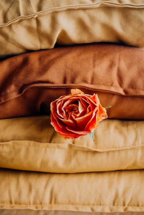 Flower Rose on Pillows