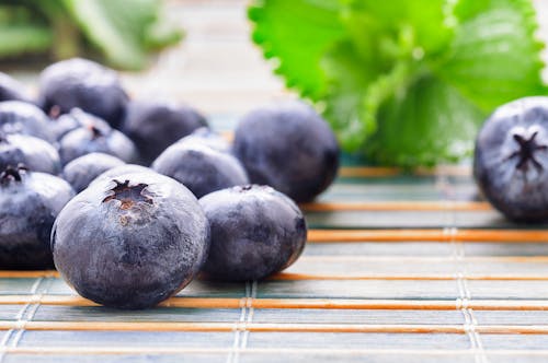 Free Blueberry Stock Photo