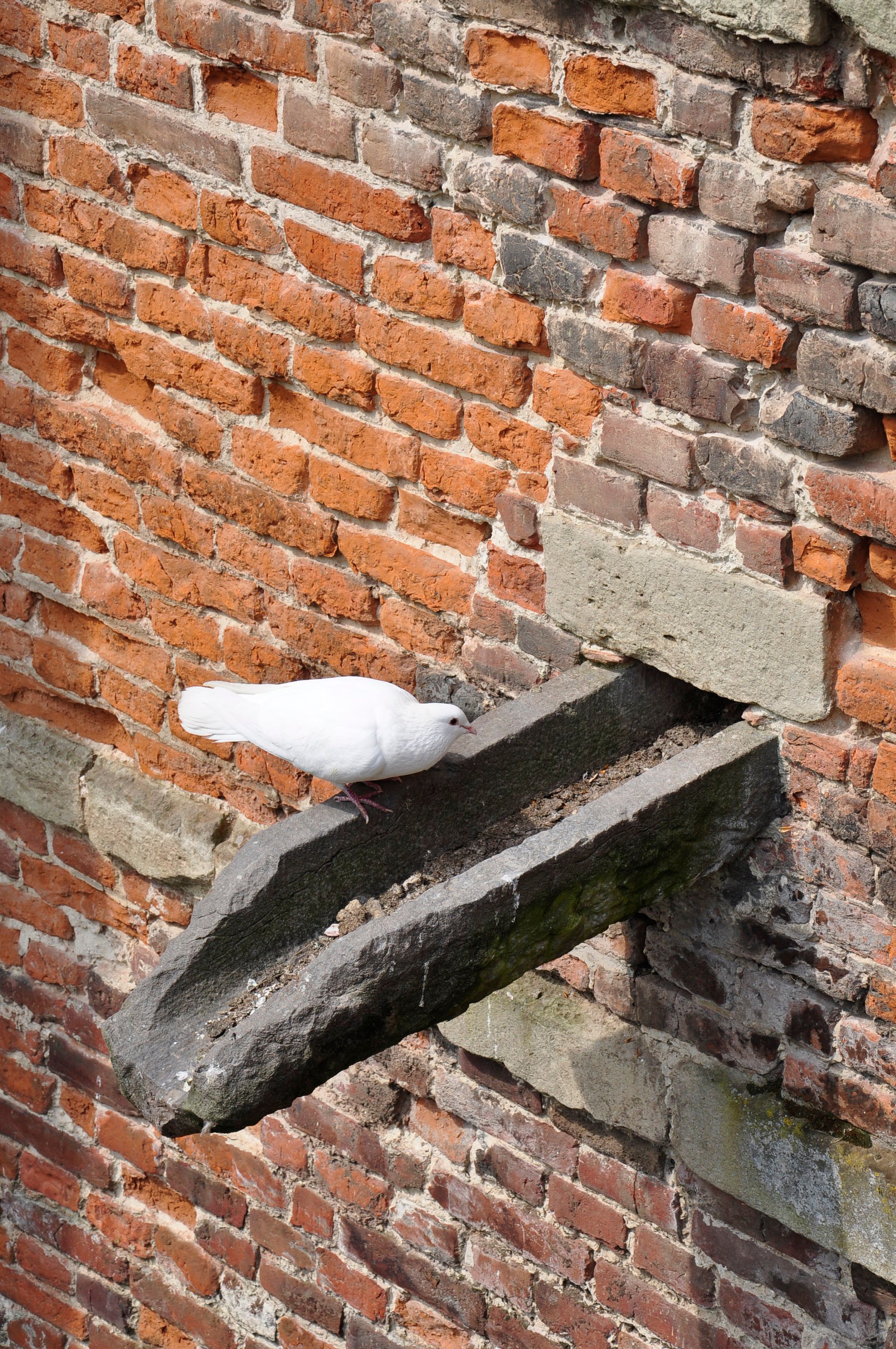 Stone Protrusion Photos, Download The BEST Free Stone Protrusion Stock ...