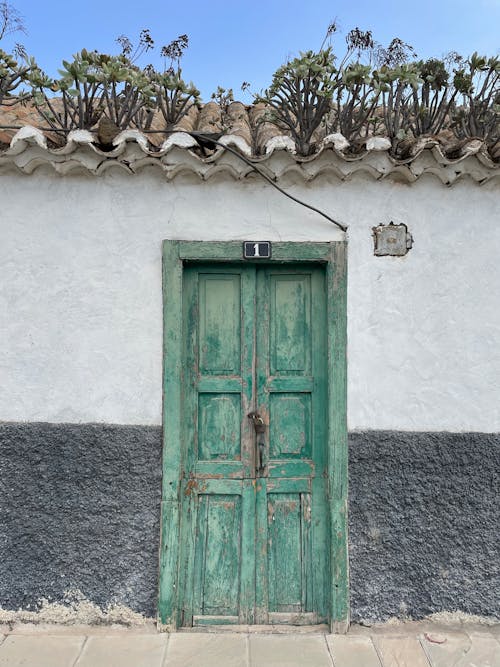 Free Close-Up Shot of Green Wooden Door Stock Photo