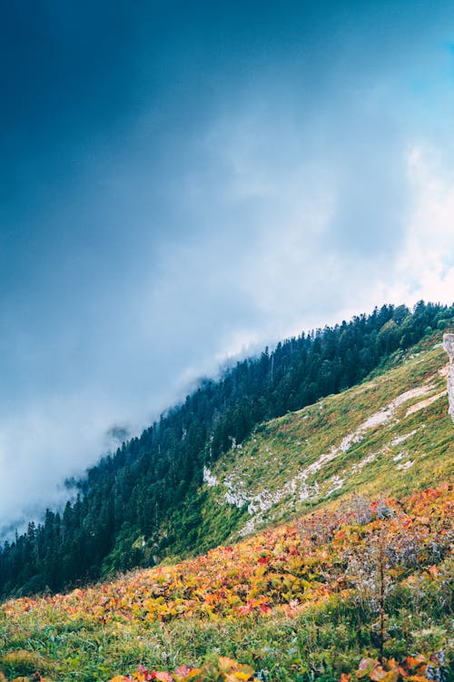 Autumn Landscape with Mountain Slope