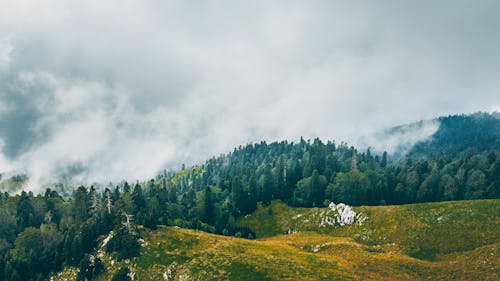 ağaçlar, arka plan duvar kağıdı, dağ doruğu içeren Ücretsiz stok fotoğraf