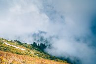 Clouds Covering a Forest
