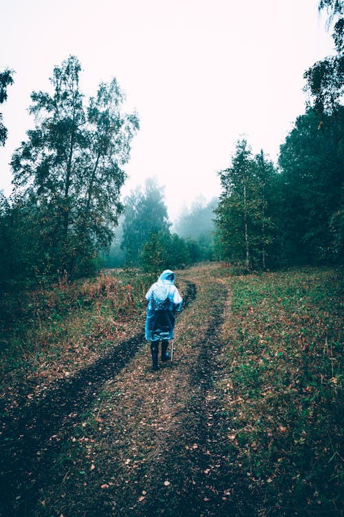 Man Hiking in Forest on Foggy Day