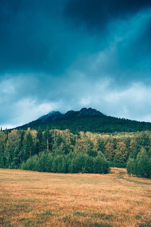 açık hava, arazi, dikey atış içeren Ücretsiz stok fotoğraf