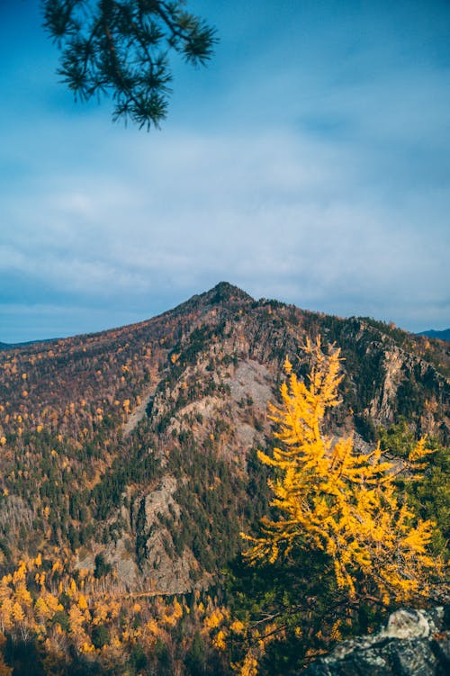 Kostenlos Kostenloses Stock Foto zu bäume, berg, blauer himmel Stock-Foto