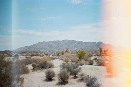 乾的, 景觀, 沙漠 的 免費圖庫相片