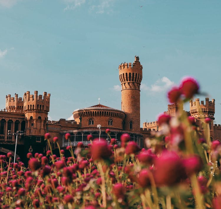 Flowers In Front Of Castle