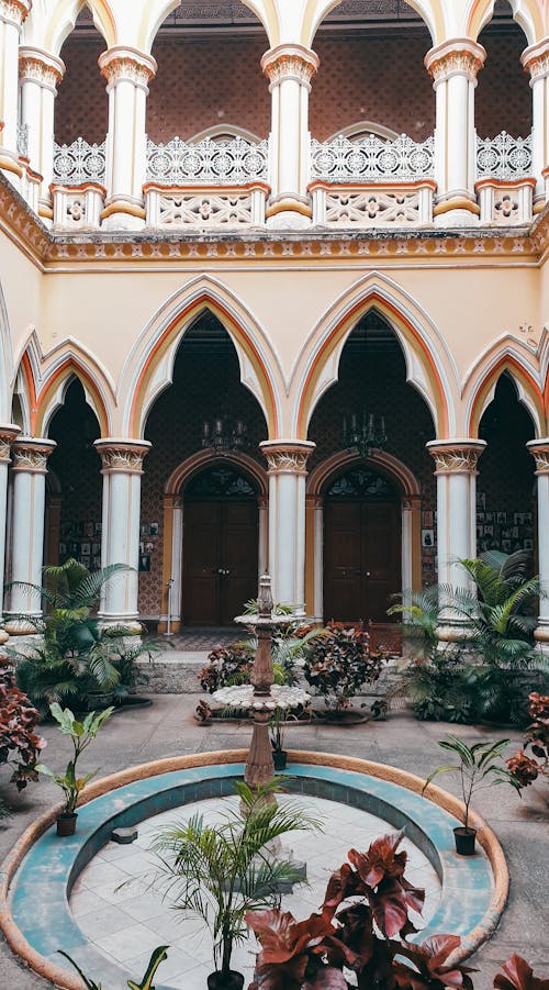 Plants around a Fountain