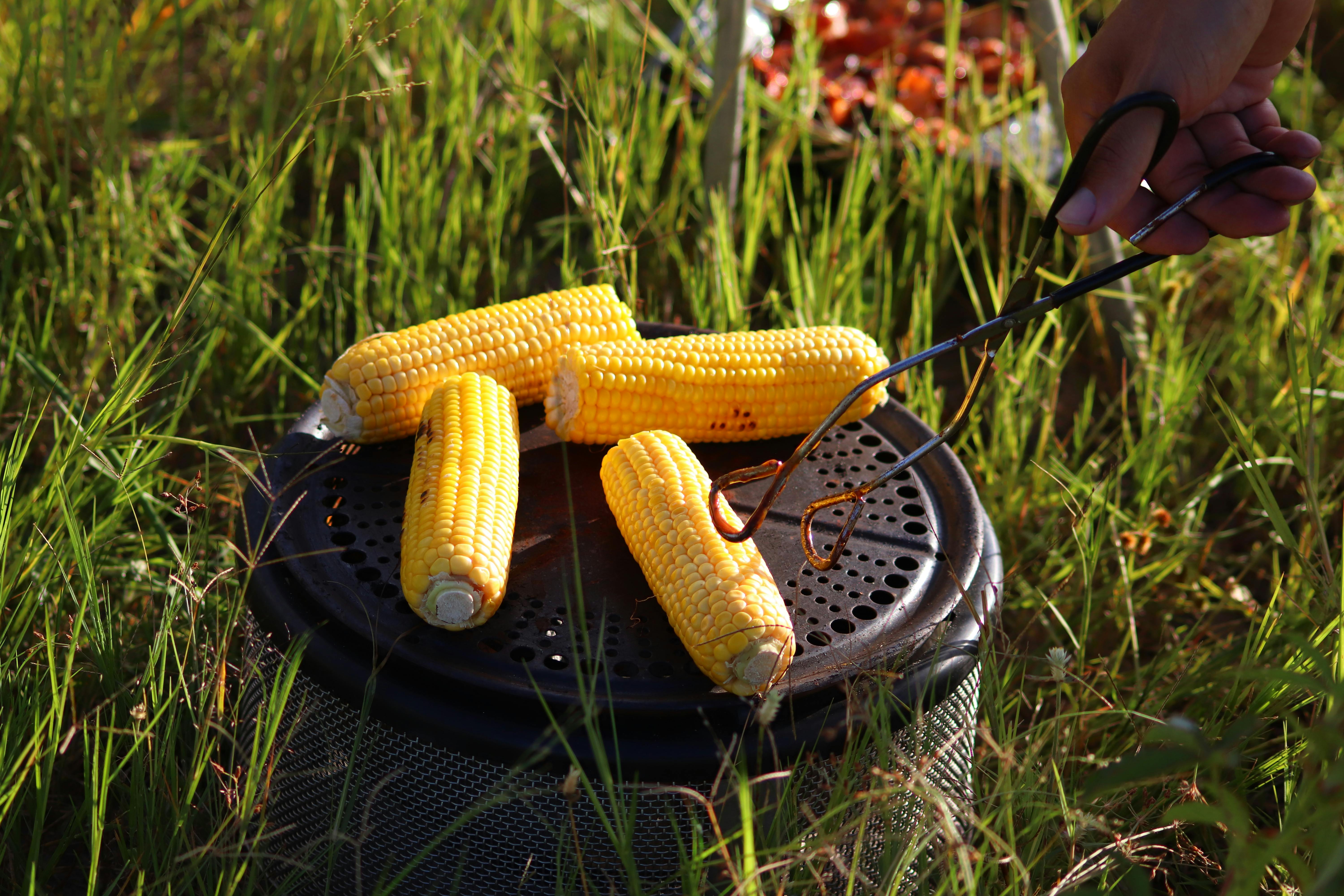 corn on black round metal bowl