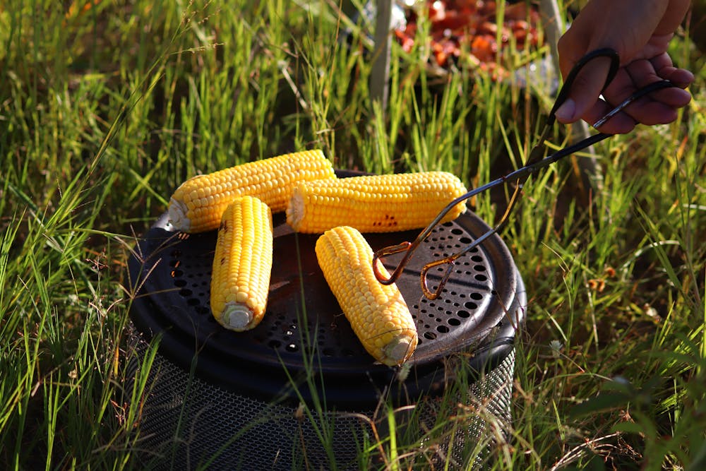 Grilled Corn with Epazote Butter