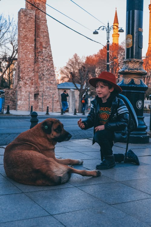 A Dog in Red Fedora Hat Sitting Near Brown Dog Lying on a Concrete Ground