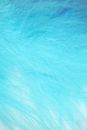 Blue Textile With White Background