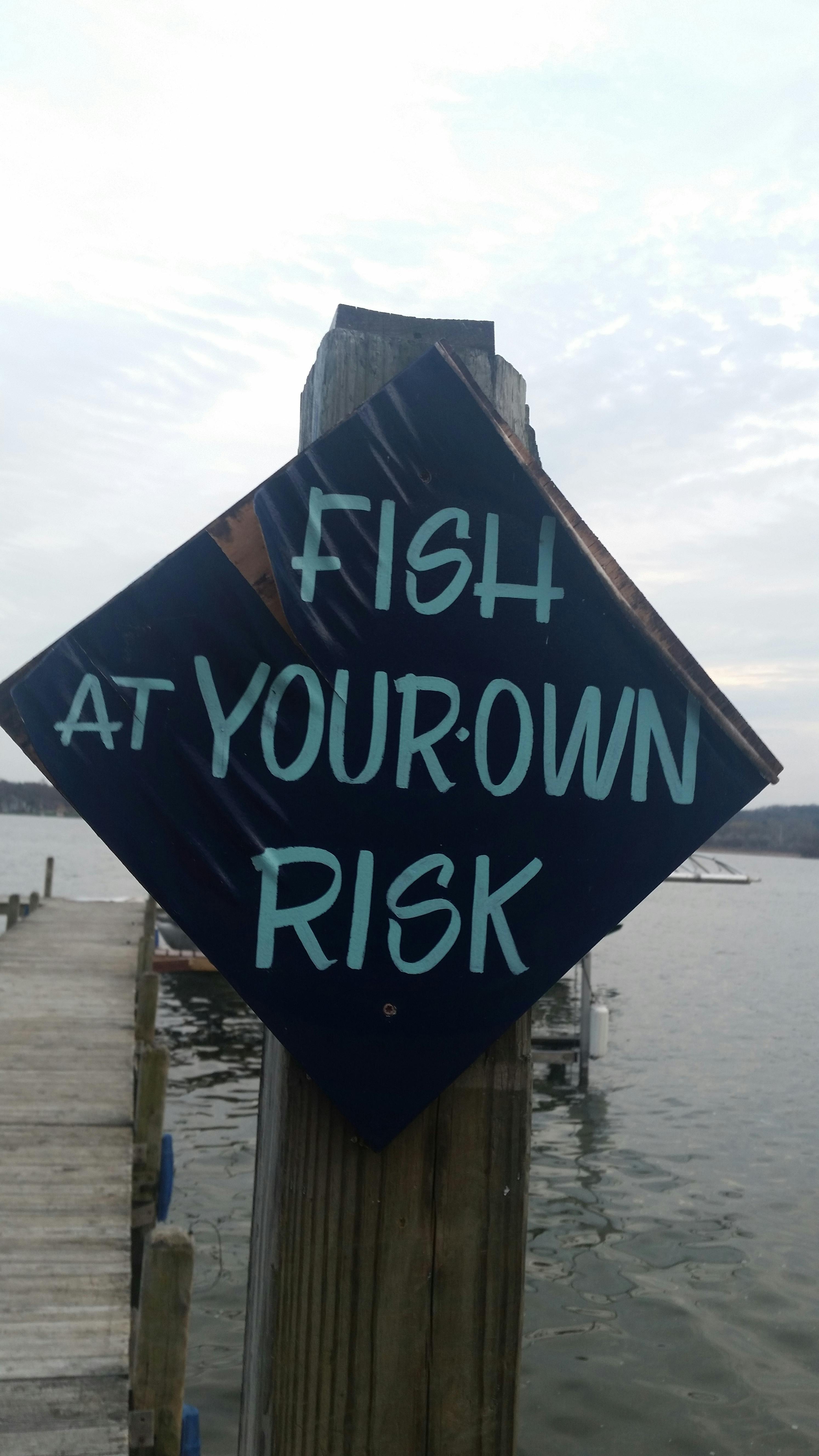Free stock photo of fish at your own risk, sign