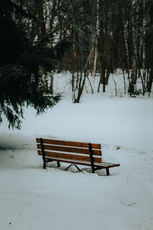 Free A serene winter landscape featuring a solitary bench amidst a snowy forest. Stock Photo