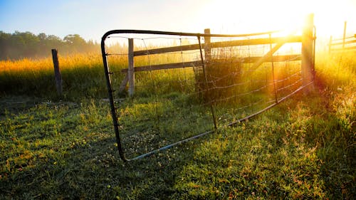 Foto stok gratis gerbang, matahari, pertanian