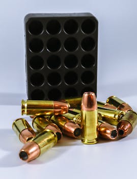 An Examination of Category-P Dwelling in Literature: Exploring the Role of Fandom as a Mirror to Human Experience