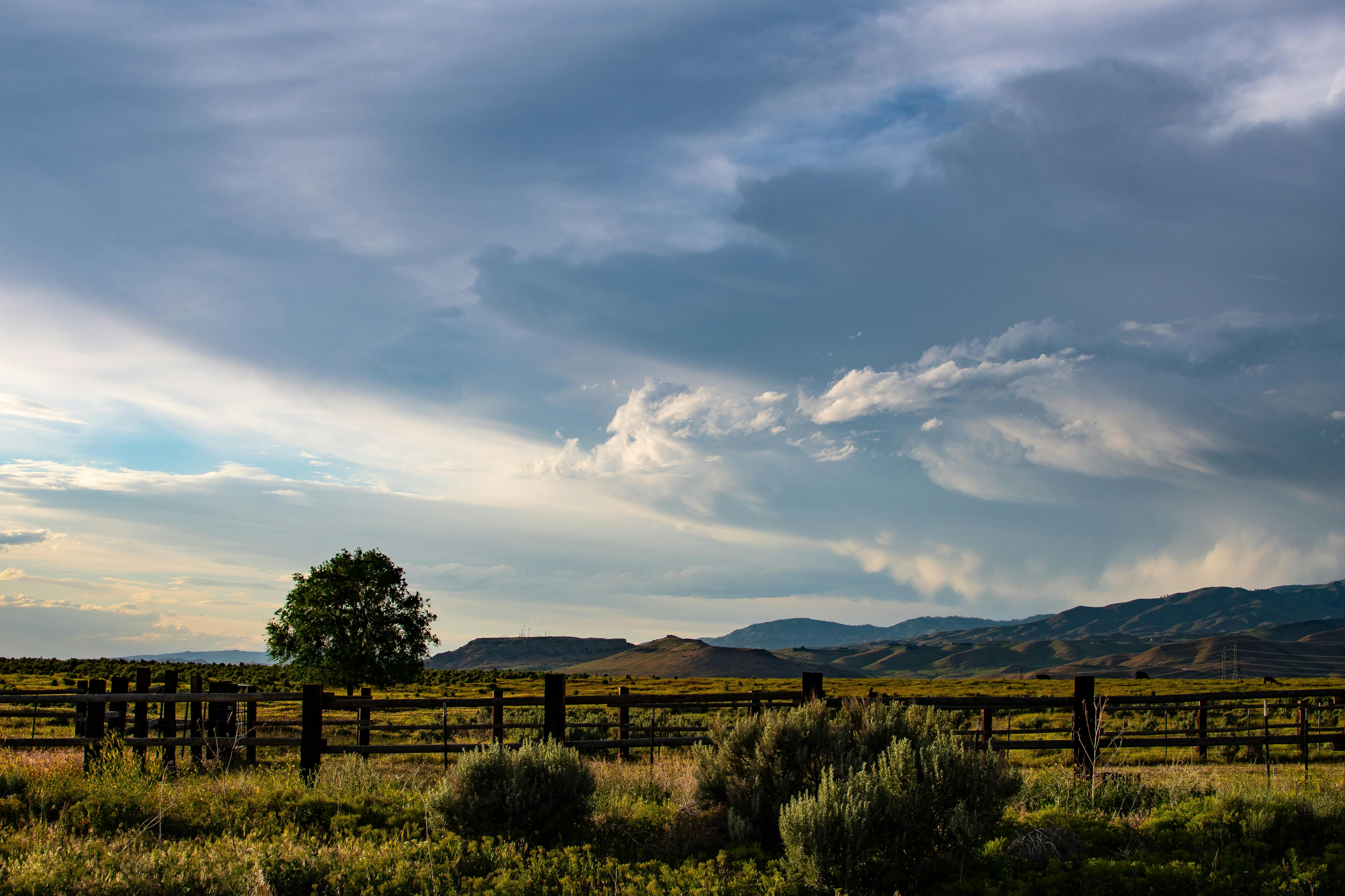 在戏剧性的天空下，一棵孤树与起伏的山丘构成了宁静的乡村场景