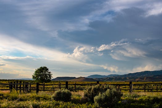 在戏剧性的天空下，一棵孤树与起伏的山丘构成了宁静的乡村场景