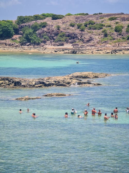 Immagine gratuita di mare, nuotare, oceano