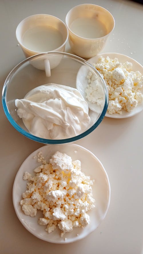 Free Cottage Cheese on Plates and a Bowl of Sour Cream
 Stock Photo