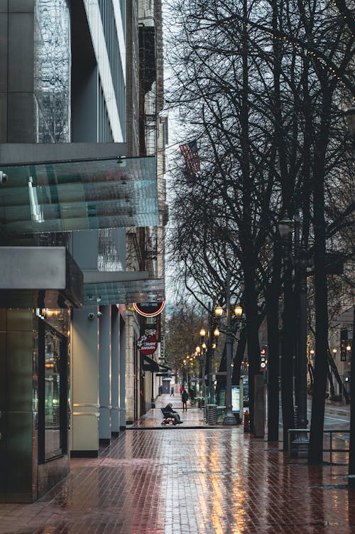 Gratis stockfoto met city street, plaats, reflectie