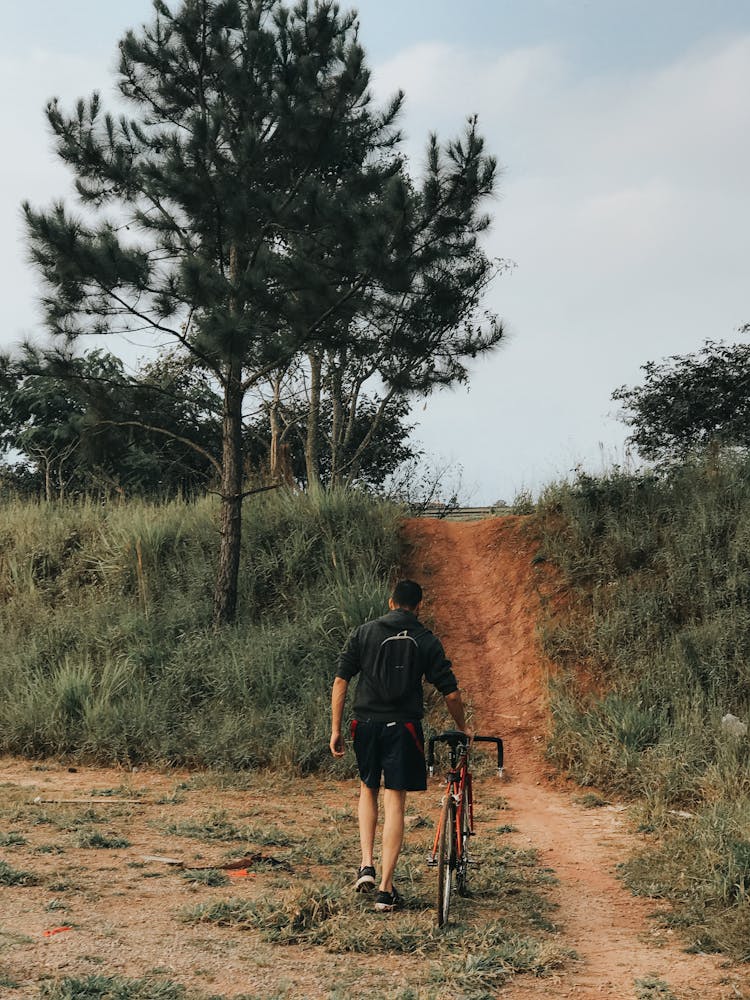 Man With Bicycle On Path In Nature