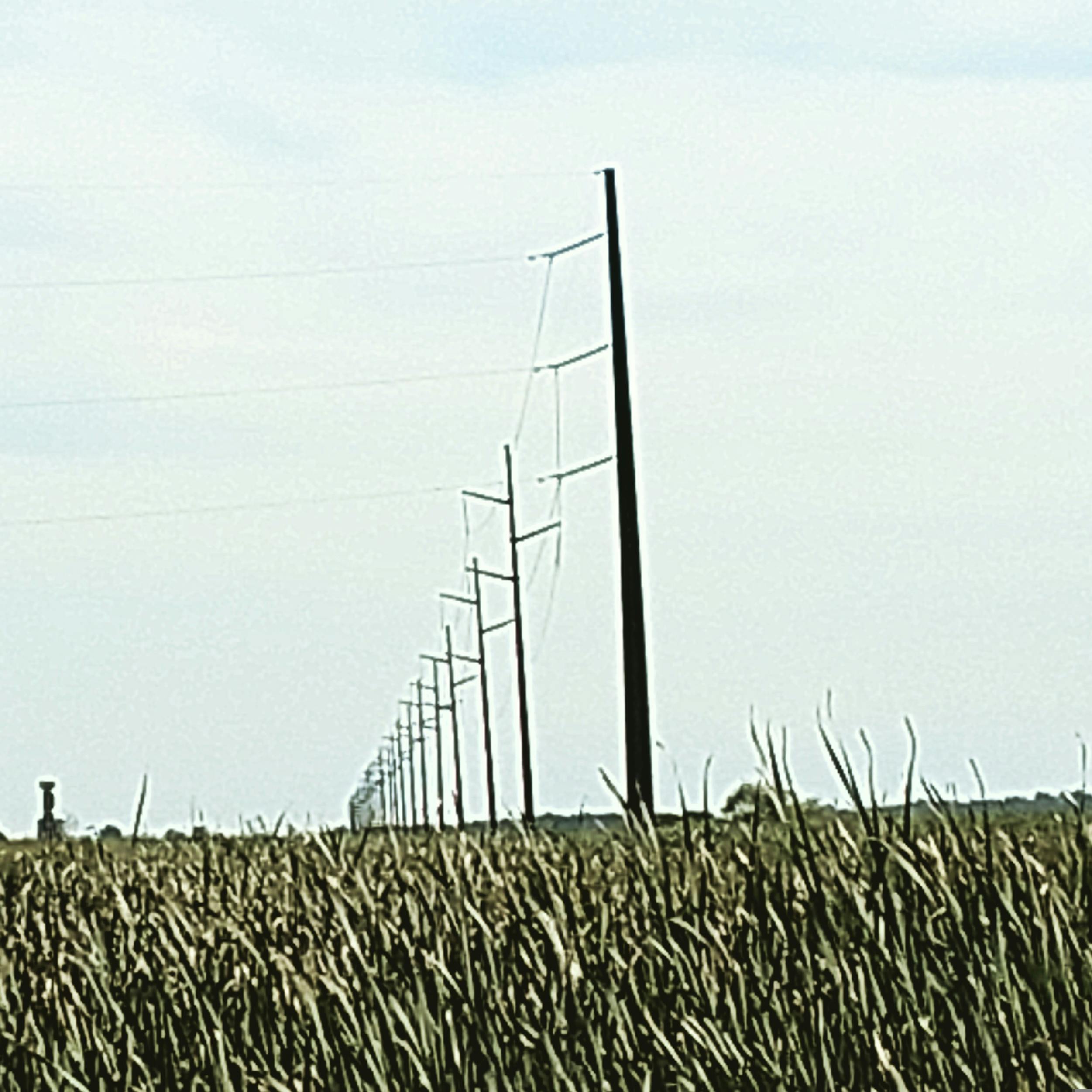 Free stock photo of farming, north dakota, telephone poles