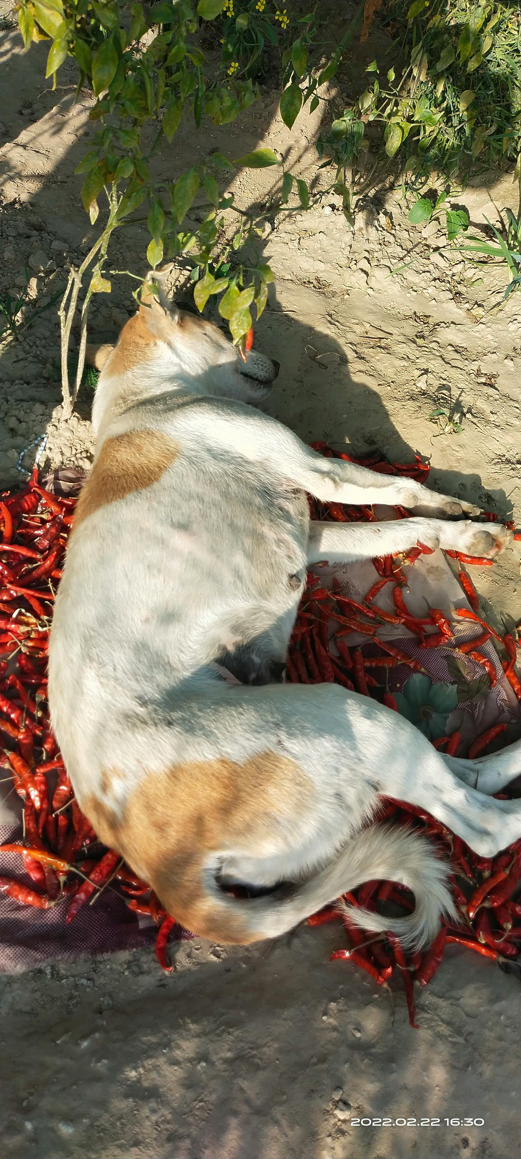 A person reading on a tablet with a cup of coffee, representing digital lifestyle content
