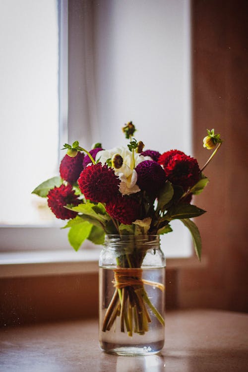 Free Red Petal Flower on Clear Glass Vase Stock Photo