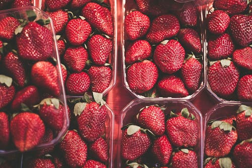 Fruta Morango Em Recipiente De Plástico Branco