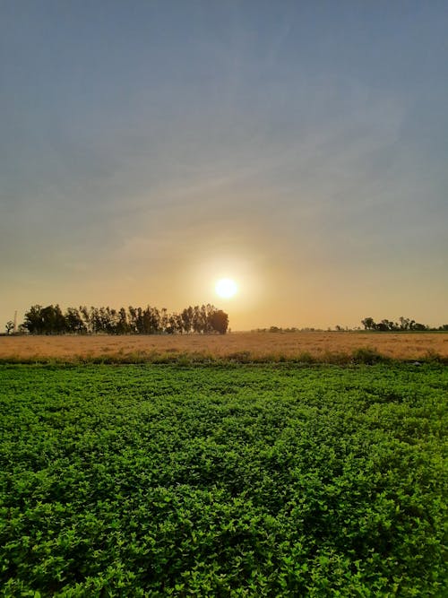 Free stock photo of fields