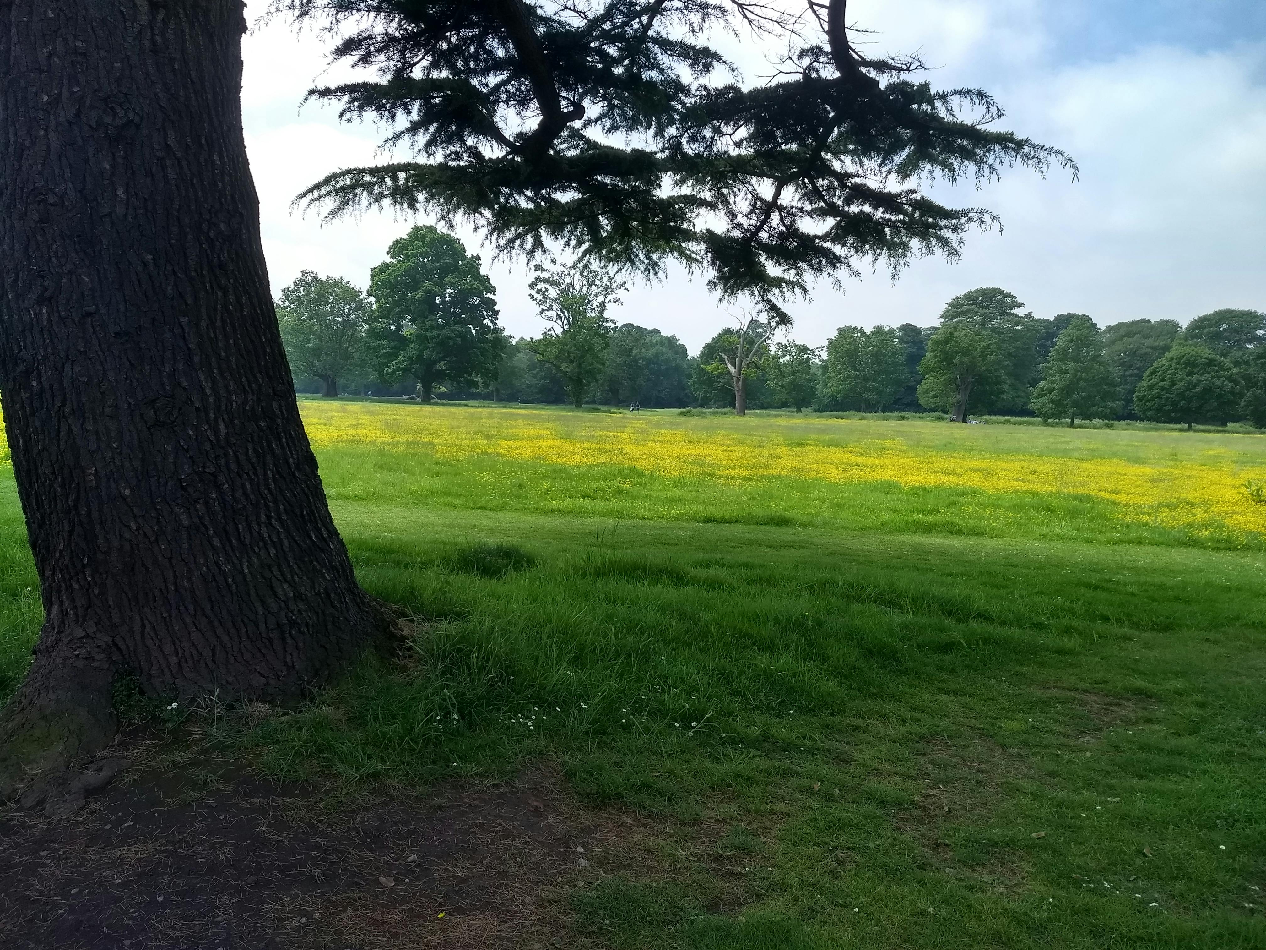 User-uploaded image