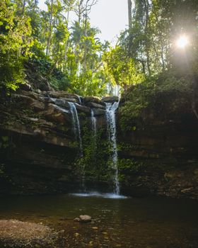 A tranquil waterfall amid a lush greenery of a tropical forest under bright sunlight.