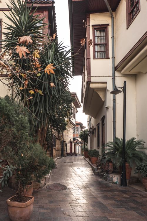 Free A quaint street with potted plants lining historic buildings, creating a scenic urban setting. Stock Photo