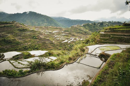 Gratis lagerfoto af banaue ris terrasser, Filippinerne, landbrugsareal