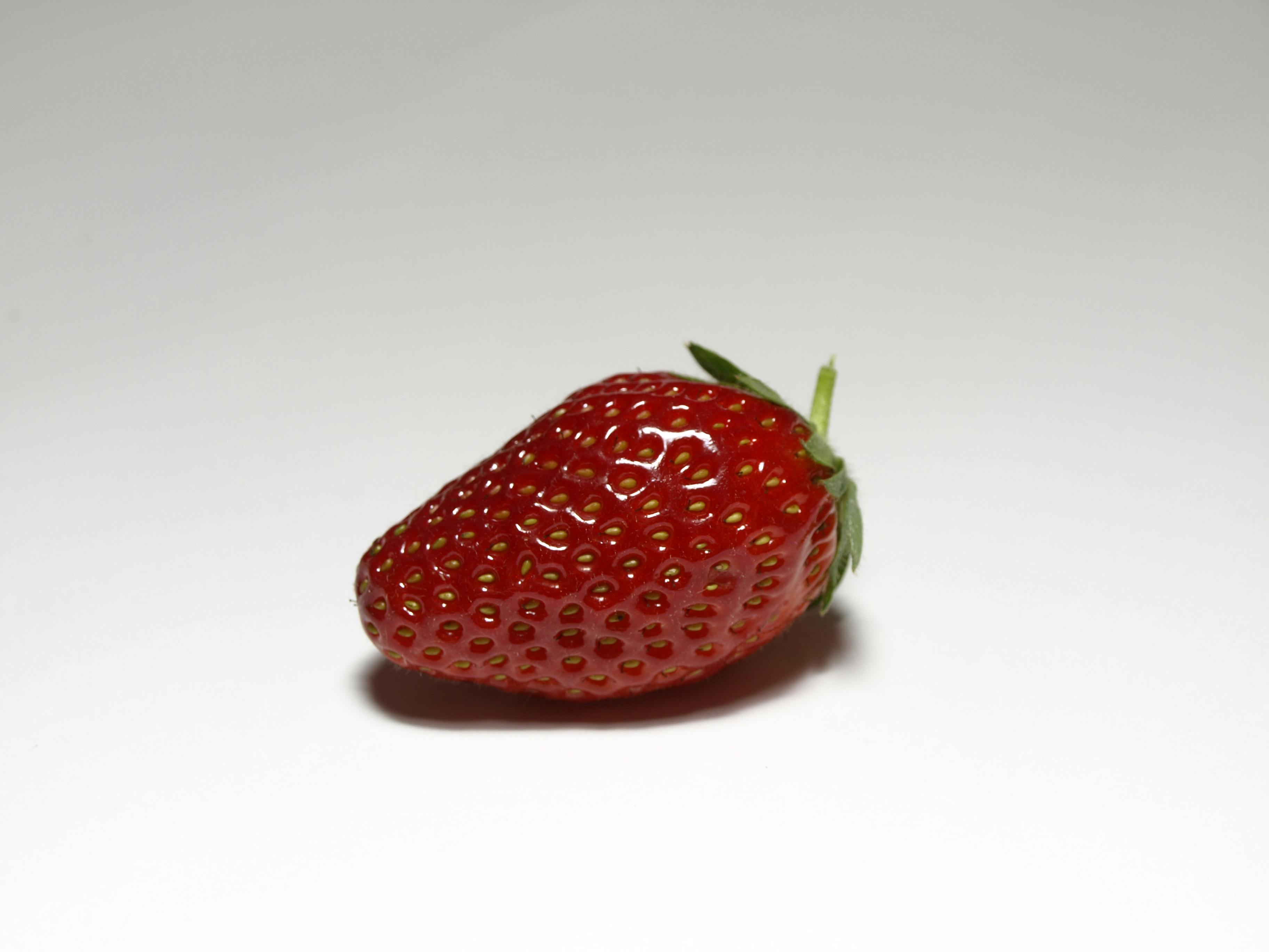 Bunte Auslagen von Obst und Gemüse auf dem St. Lawrence Market