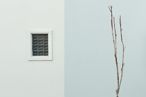 Fotobanka s bezplatnými fotkami na tému biela stena, jednoduchý, minimalizmus