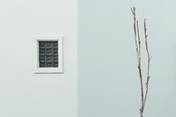 Glass Window on White Wall
