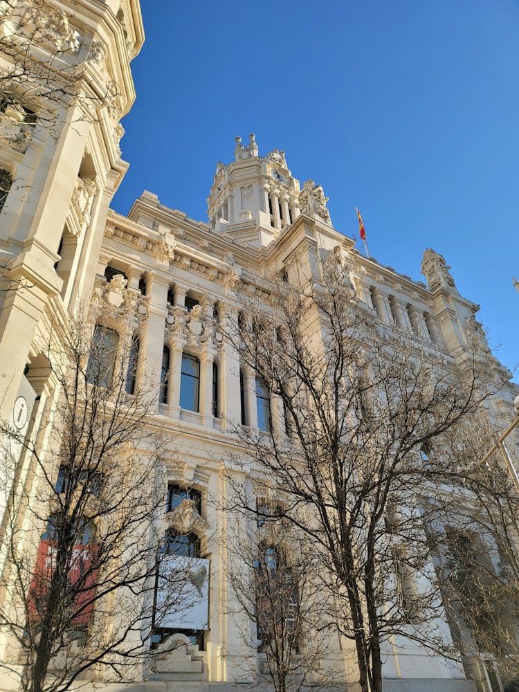 Leafless Trees Outside Cybele Palace