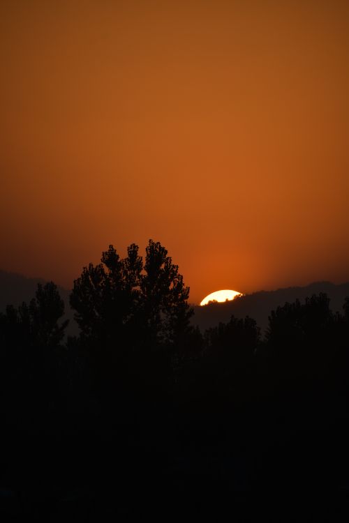 Free A breathtaking sunset silhouette with trees against a warm orange sky. Stock Photo