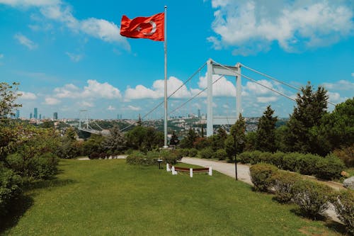 Foto d'estoc gratuïta de acomiadant-se, arbres, bandera turca