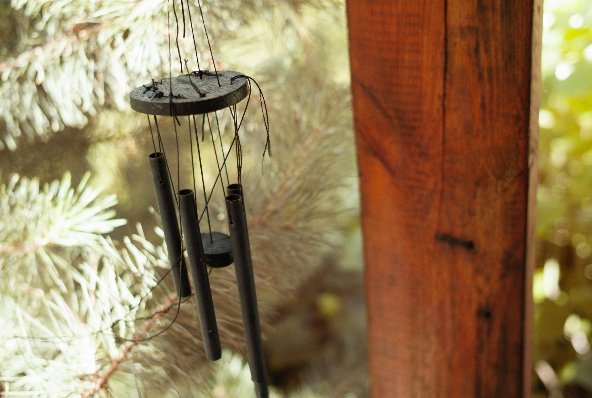 Elegant wind chimes hanging among pine branches, bathed in warm sunlight.