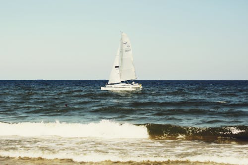 Free stock photo of boat, sea