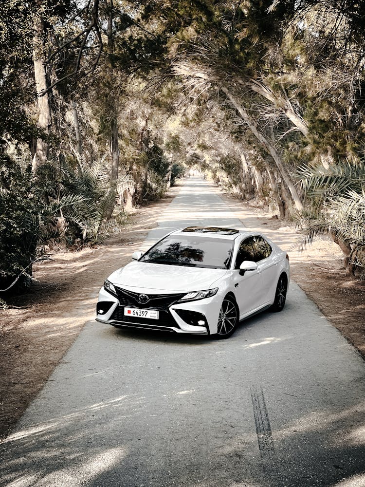 Modern Car In Tropical Landscape